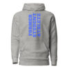 unisex-premium-hoodie-carbon-grey-front-65e7e487c5498.jpg