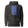 unisex-premium-hoodie-charcoal-heather-front-65e7e487bc213.jpg
