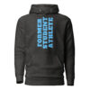unisex-premium-hoodie-charcoal-heather-front-65e7eae56d0ae.jpg
