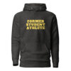 unisex-premium-hoodie-charcoal-heather-front-65ee3aeee9ed3.jpg