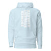 unisex-premium-hoodie-sky-blue-front-65edfddfa509b.jpg